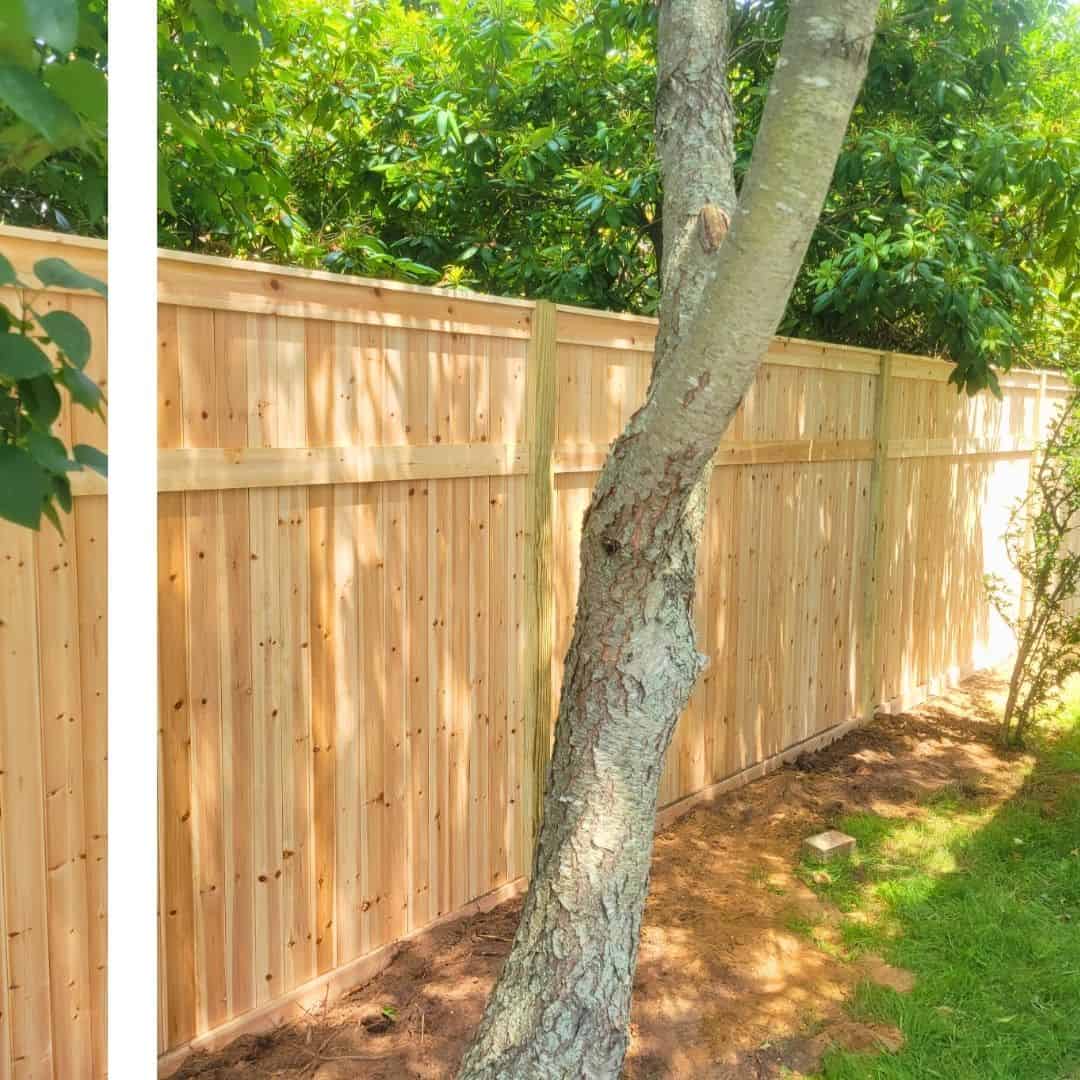 A newly installed light-colored wooden fence, appearing to be made of vertical planks, runs along a property line, with a tree trunk in the foreground and green foliage behind the fence under bright sunlight.